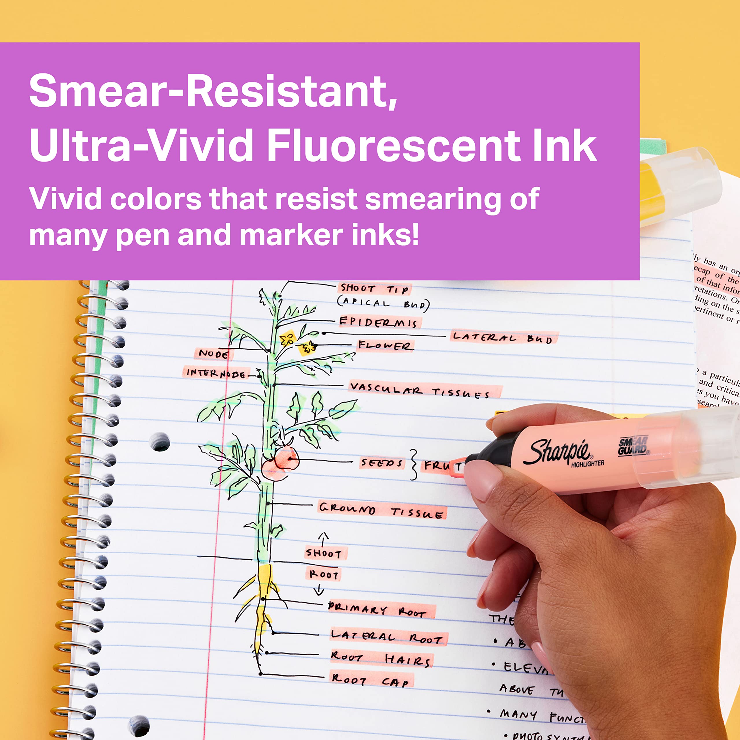 Sharpie Clearview Tank-Style Highlighter, Assorted Ink Colors, Chisel Tip, Assorted Barrel Colors, 12/Pack